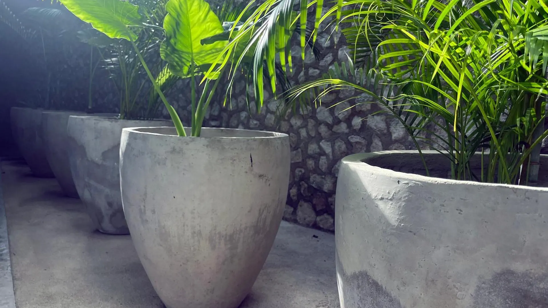 Bau Tulum Hotel